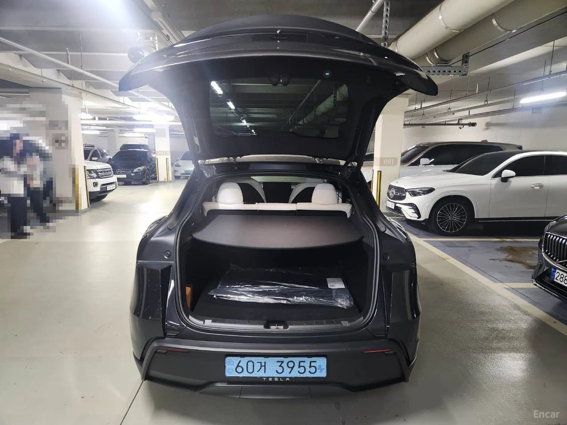 Model Y