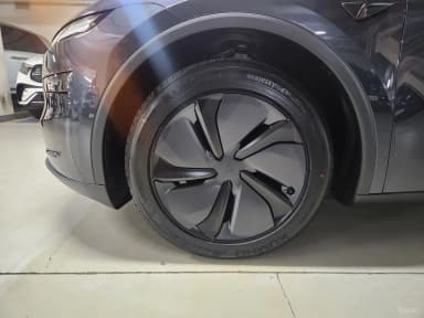 Model Y