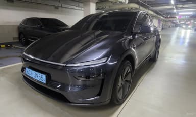 Model Y