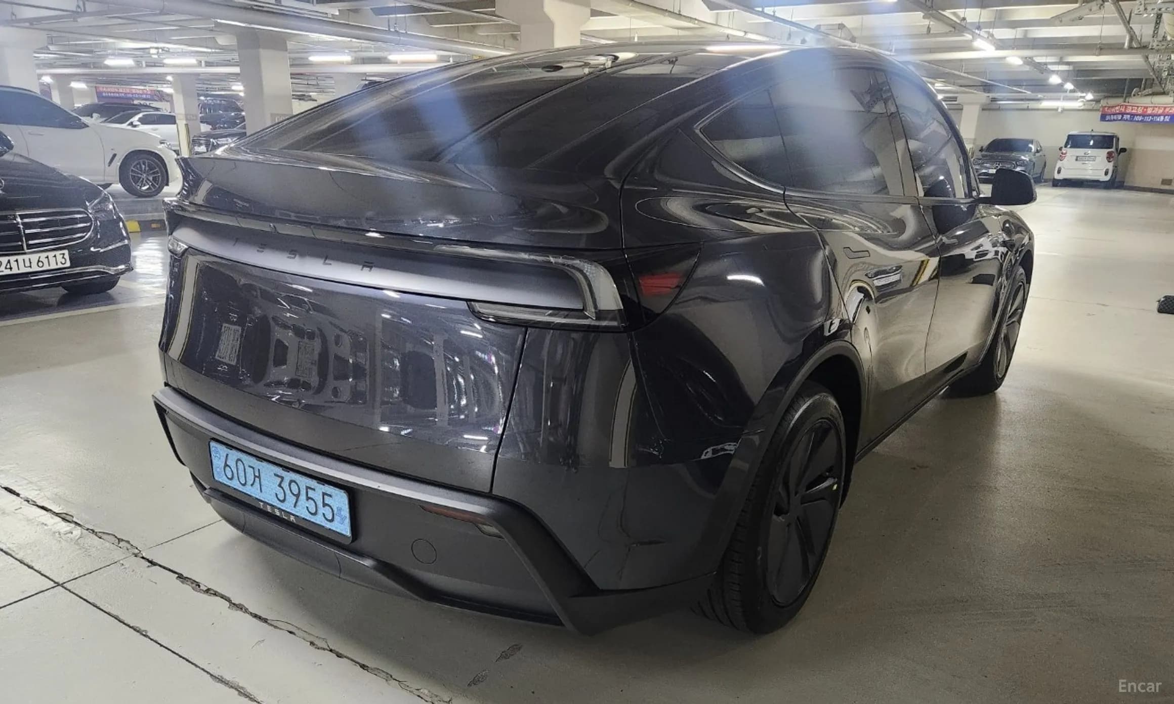 Model Y