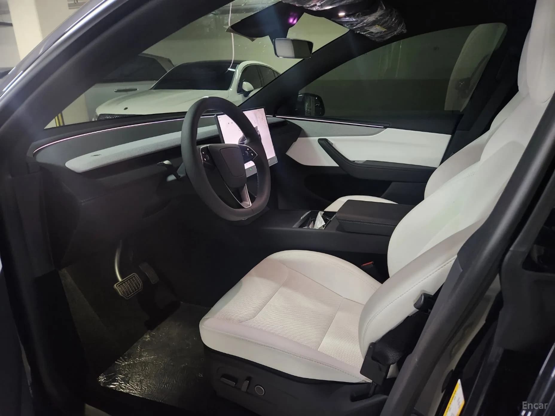 Model Y