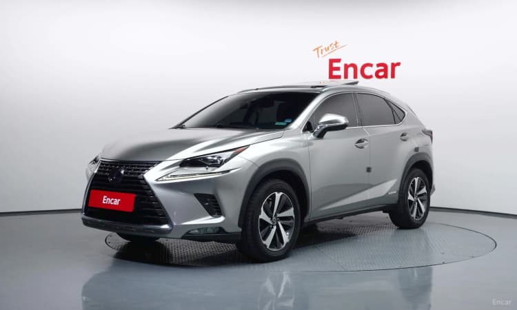 NX300h