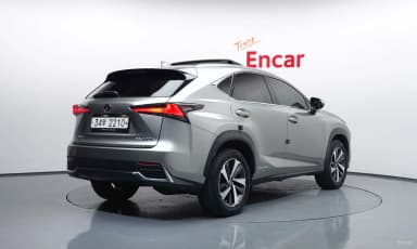 NX300h