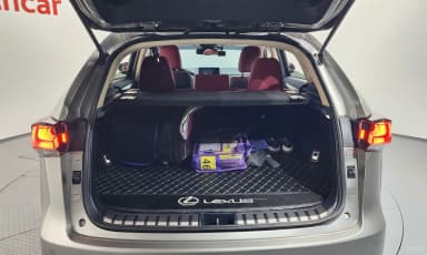 NX300h