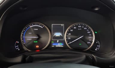NX300h