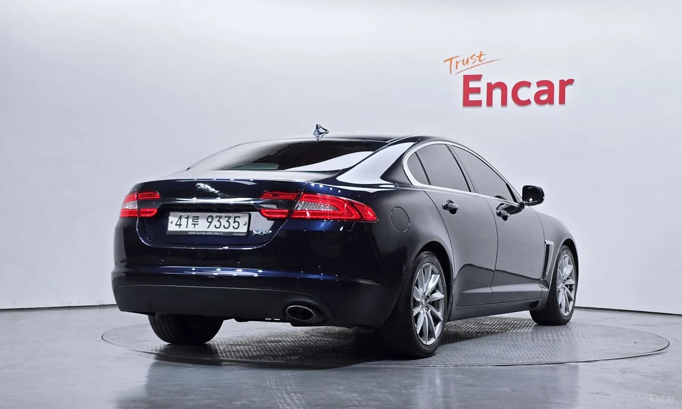New XF