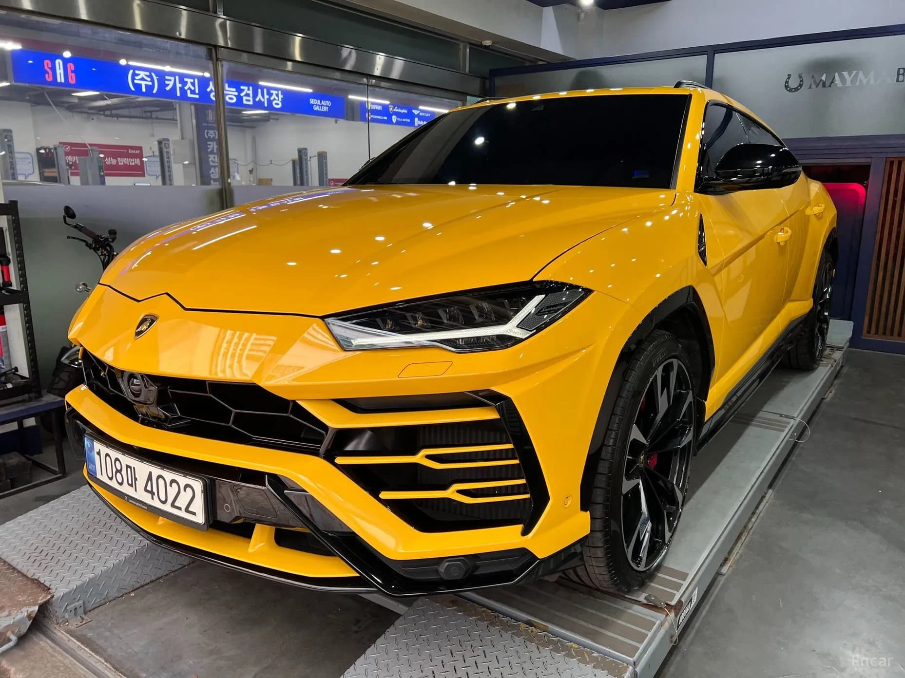 Urus