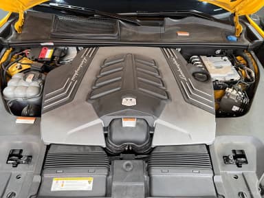 Urus