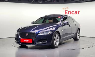 XF (x260)