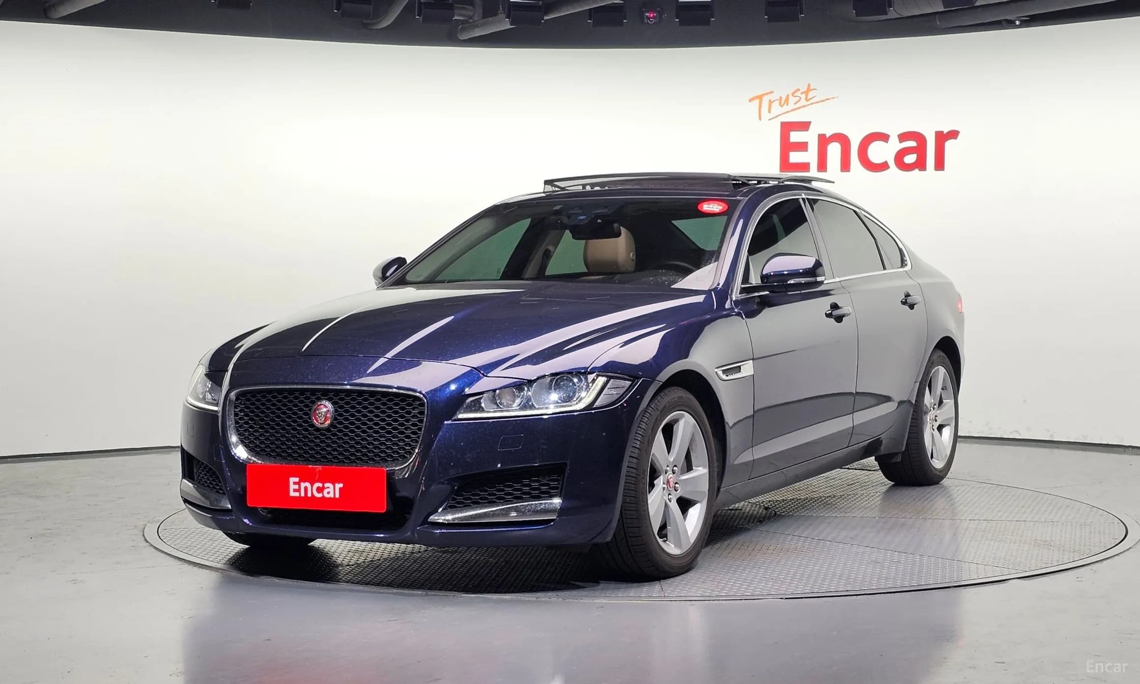XF (x260)