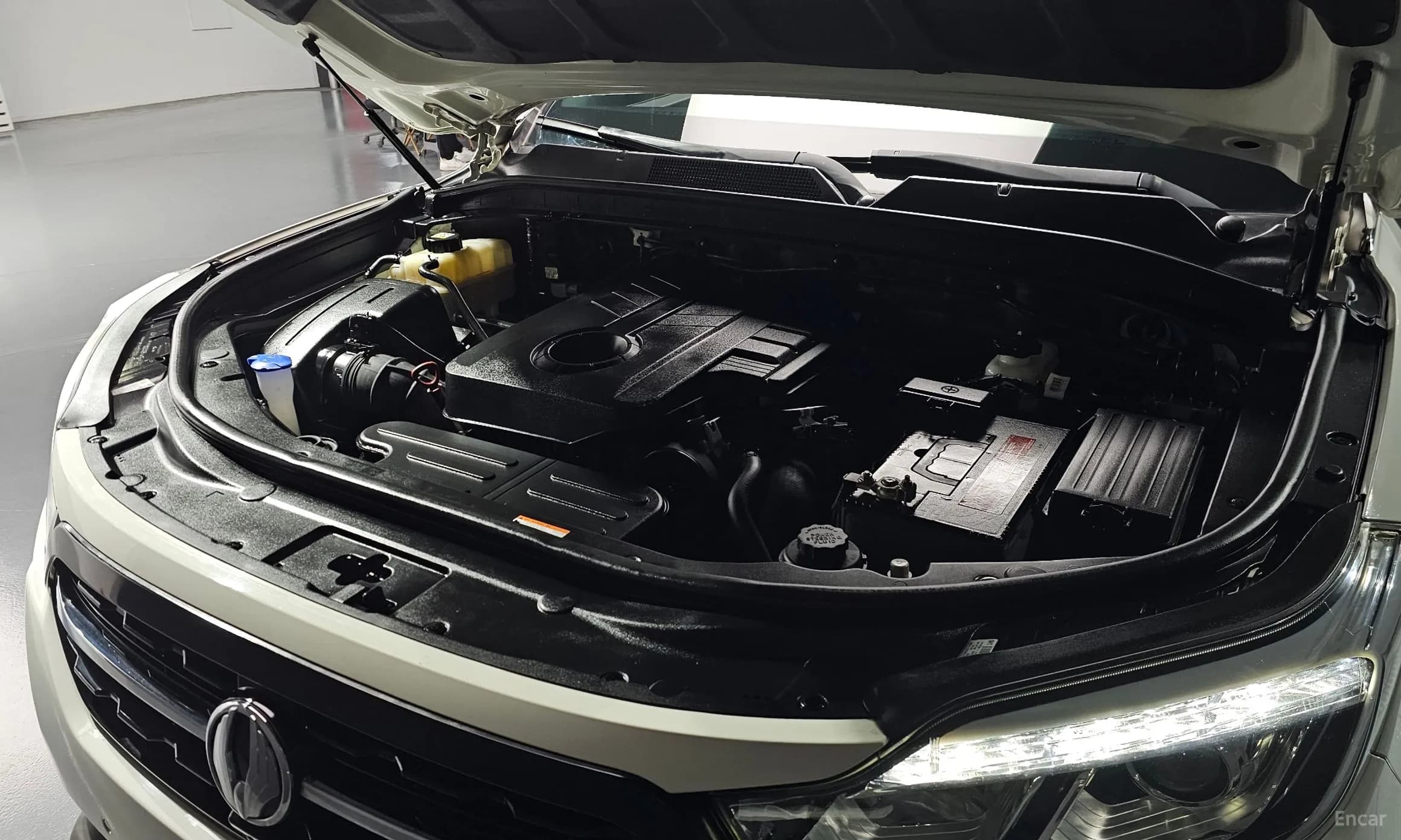 Rexton Sports