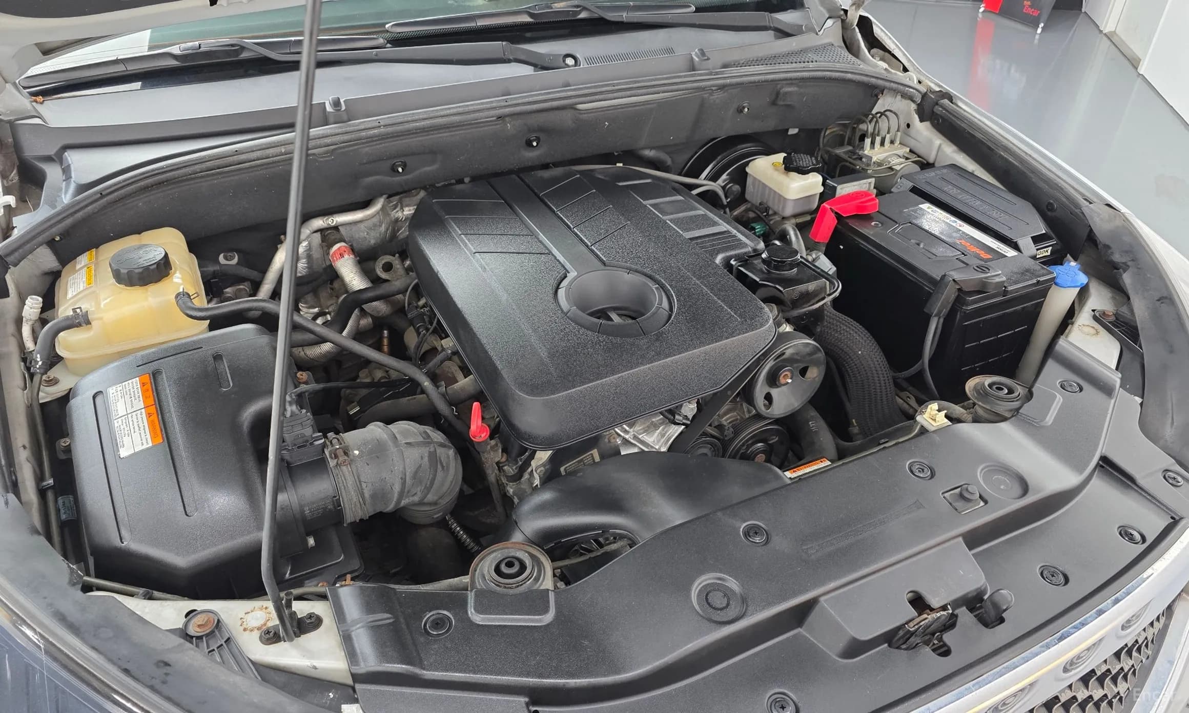 Korando Sports