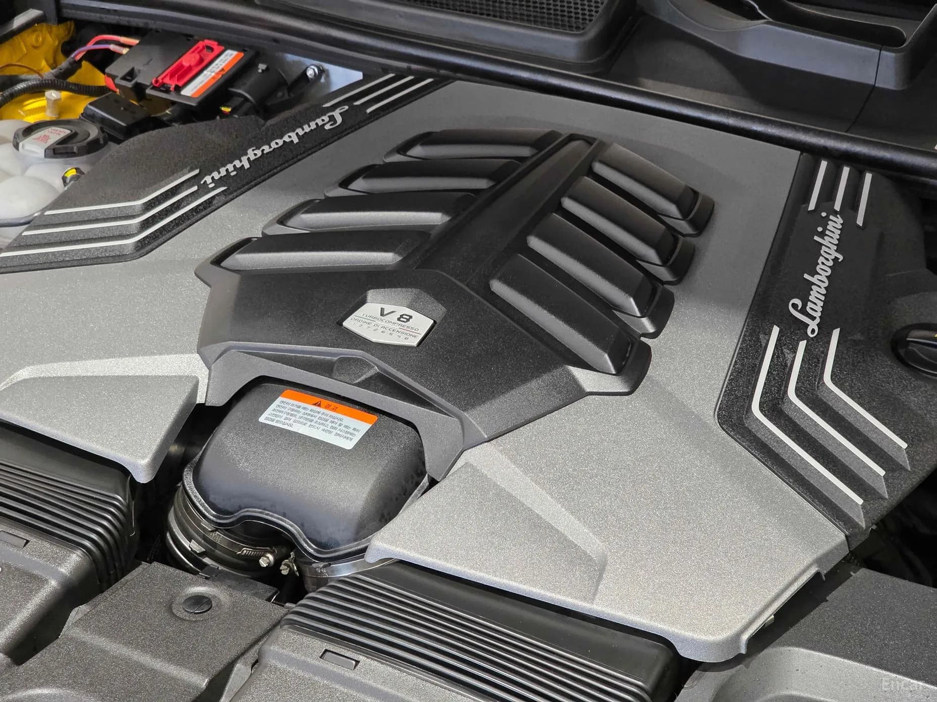 Urus