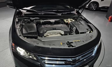 Impala