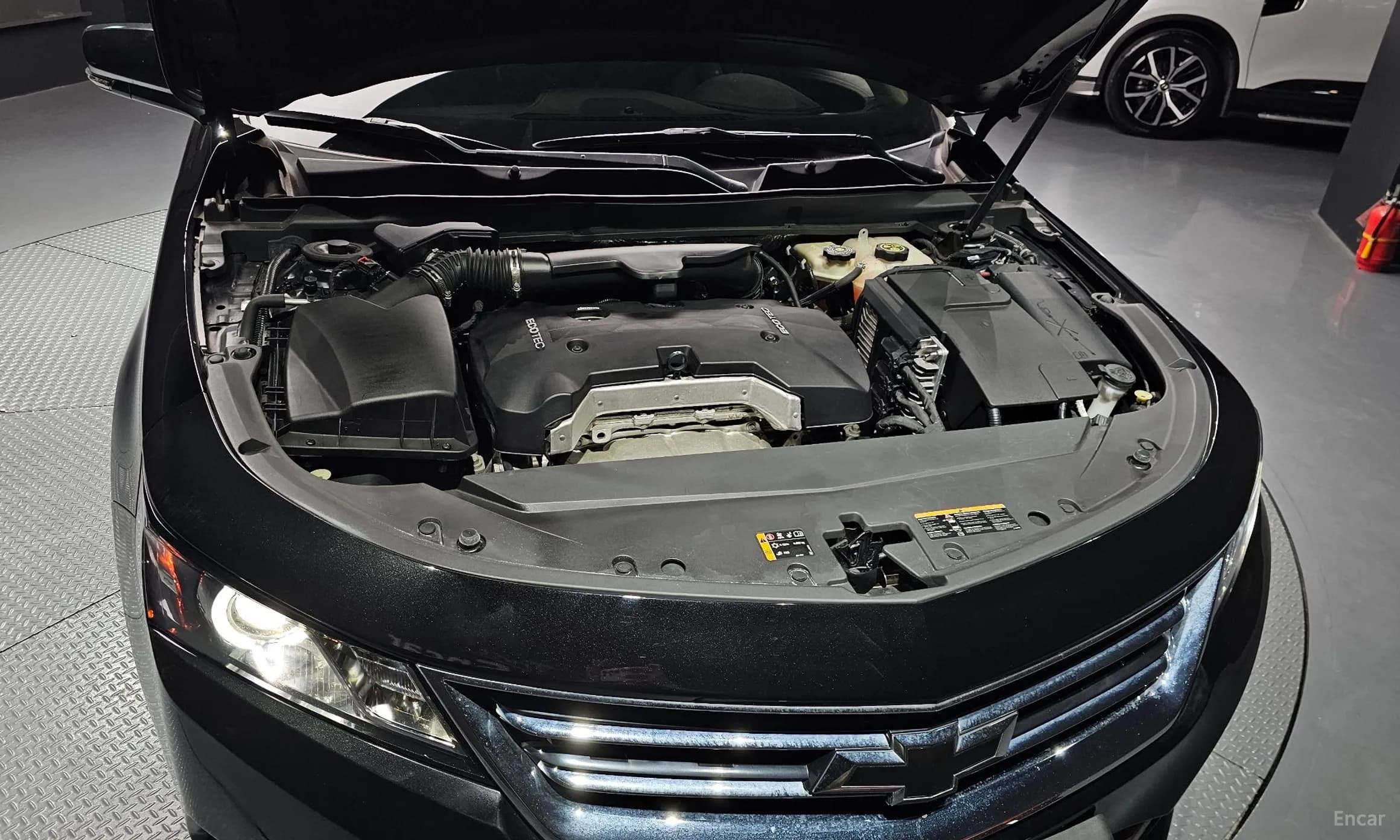 Impala