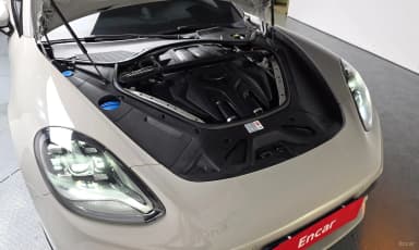 Panamera (971)