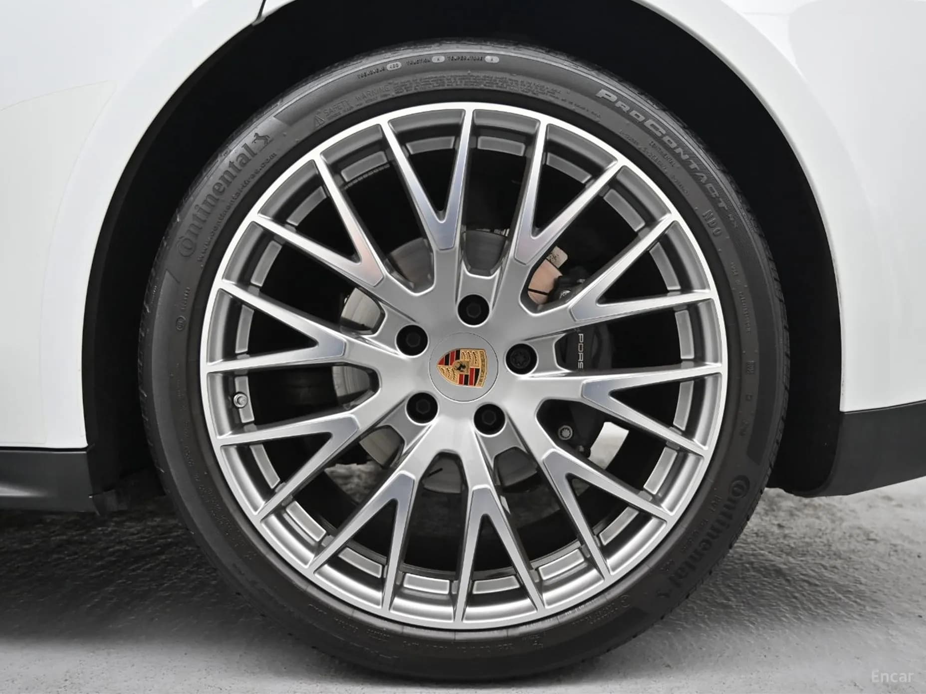 Panamera (976)
