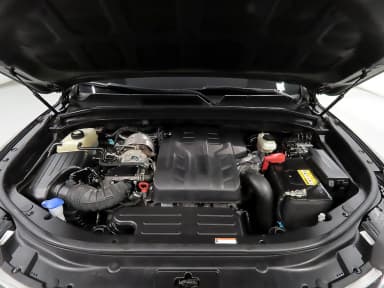 Rexton Sports