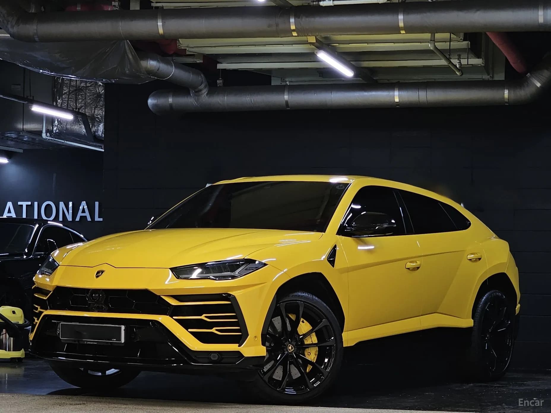 Urus