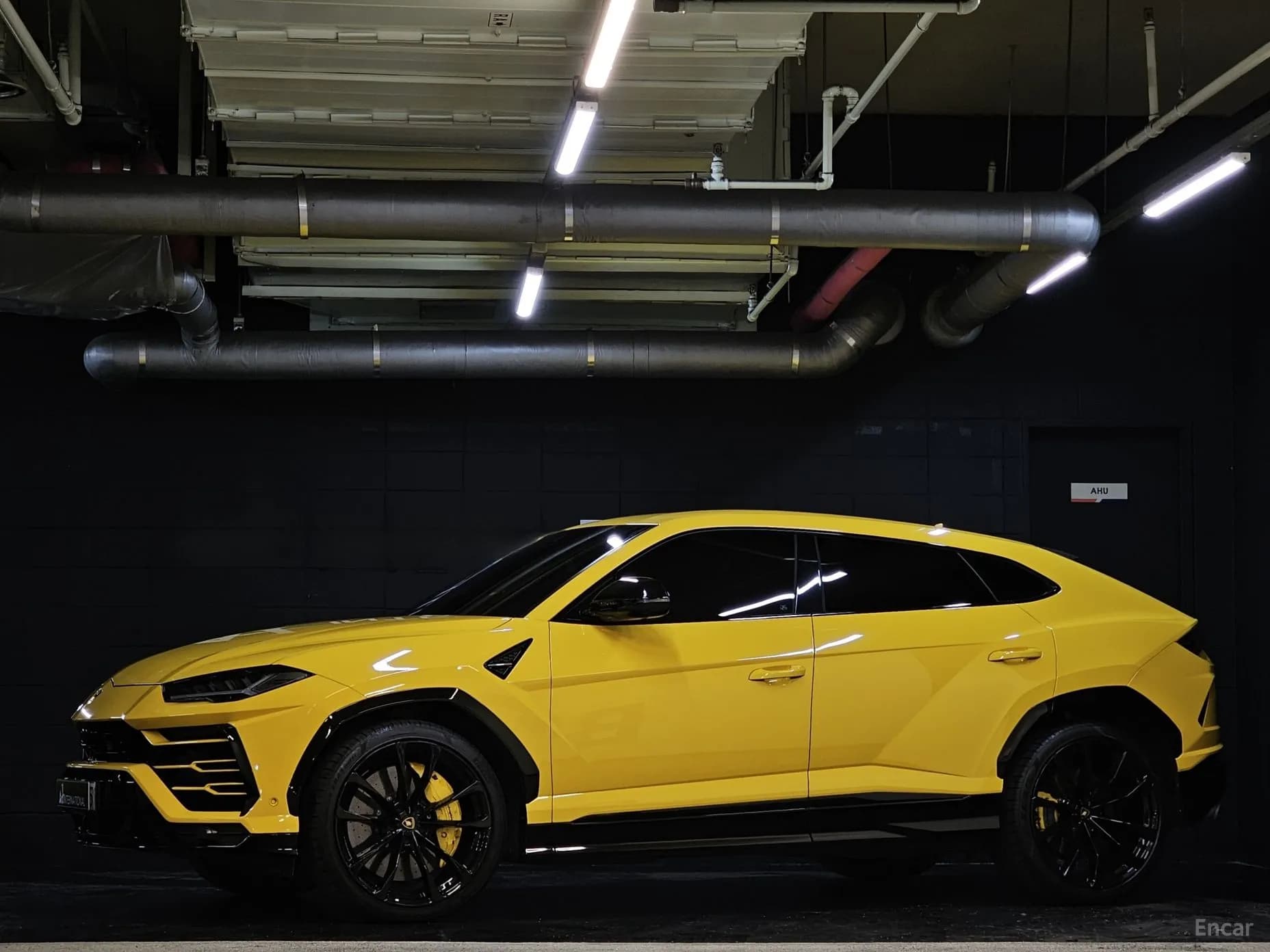 Urus
