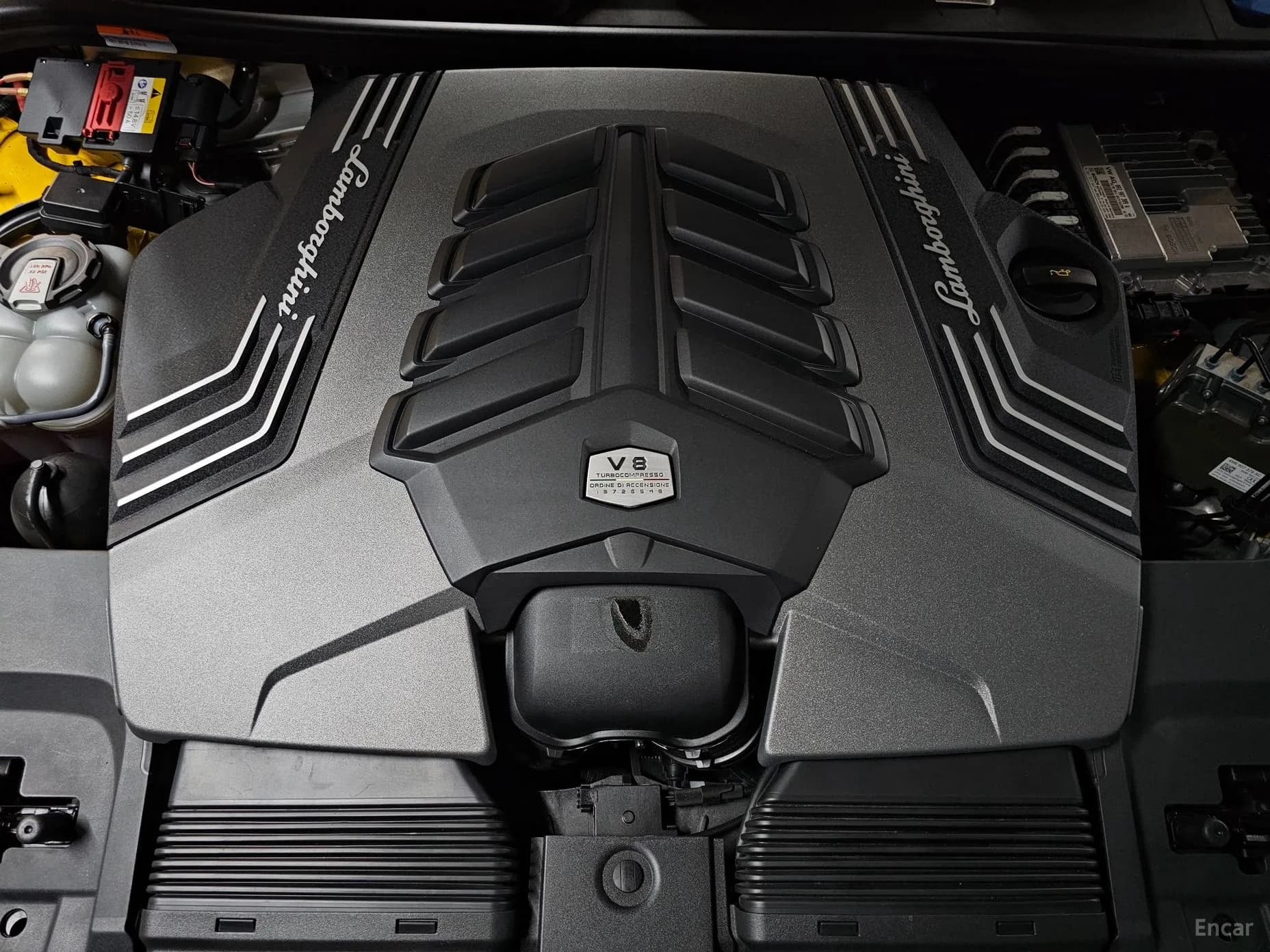 Urus