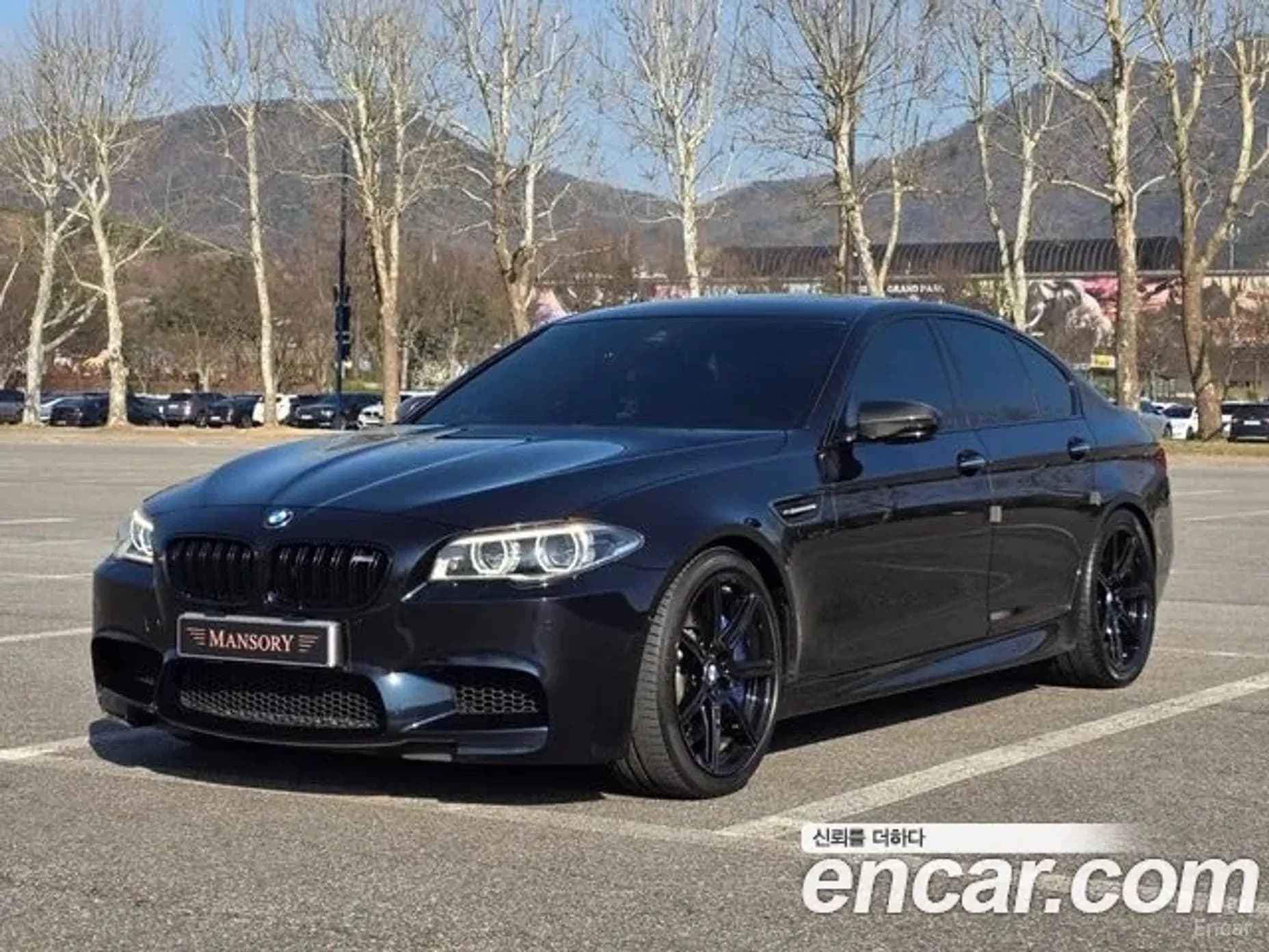 M5 (F10)