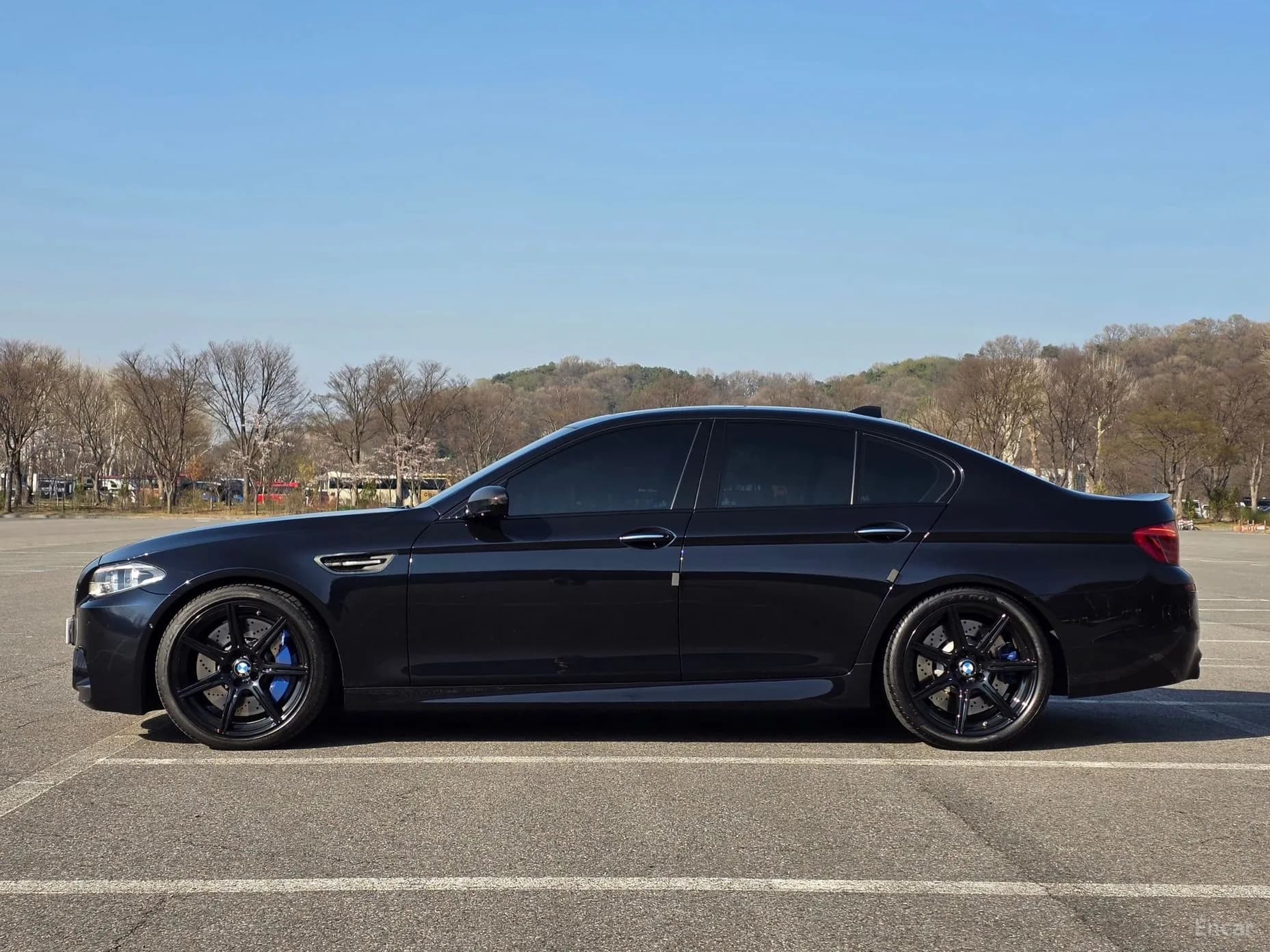 M5 (F10)