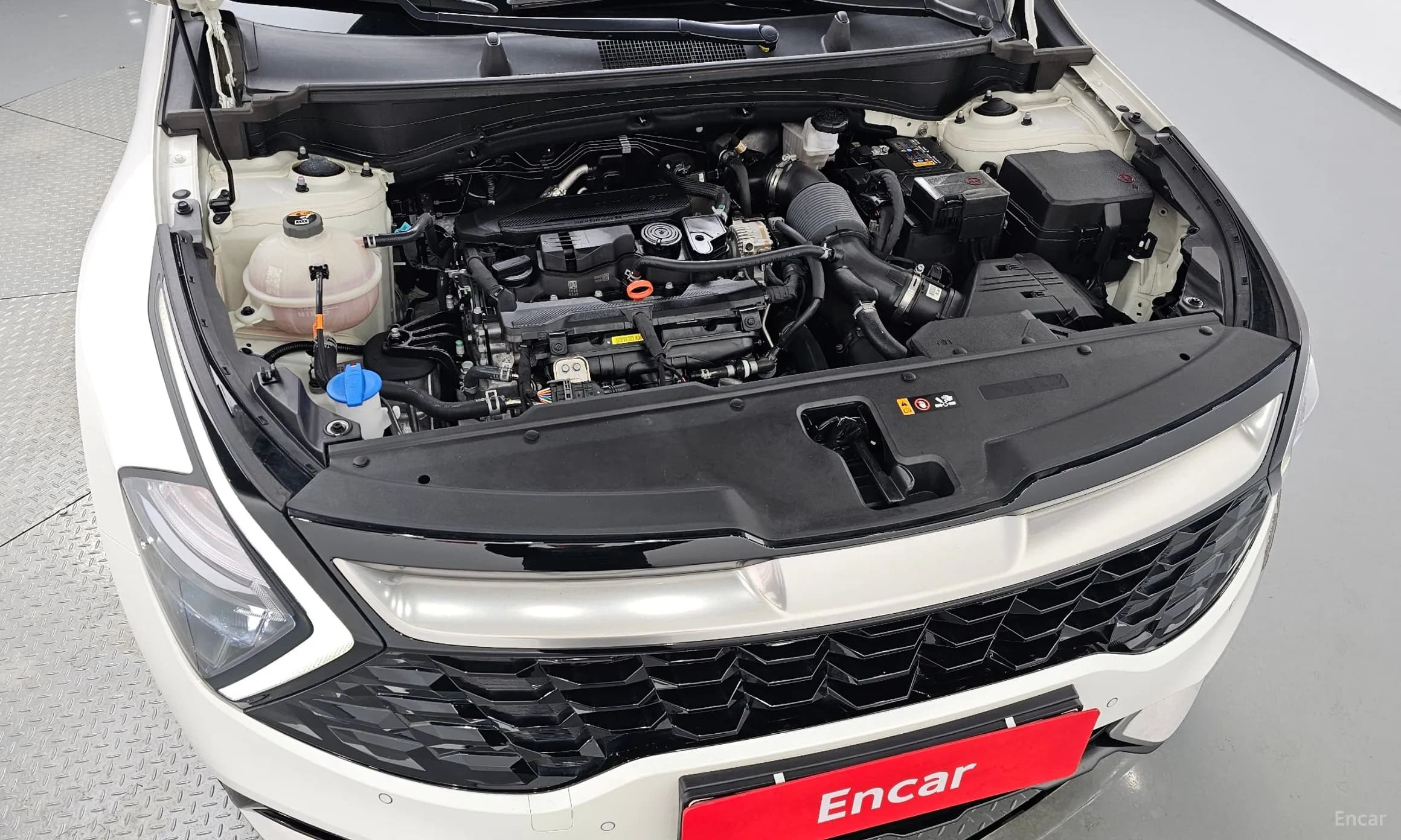 Sportage 5th Generation