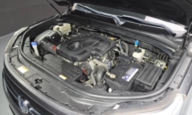 Rexton Sports