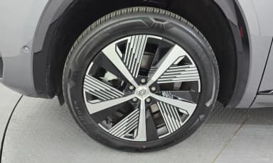 Grang Koleos