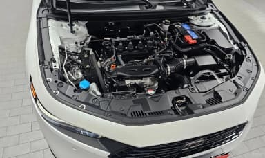 Accord 11th Generation