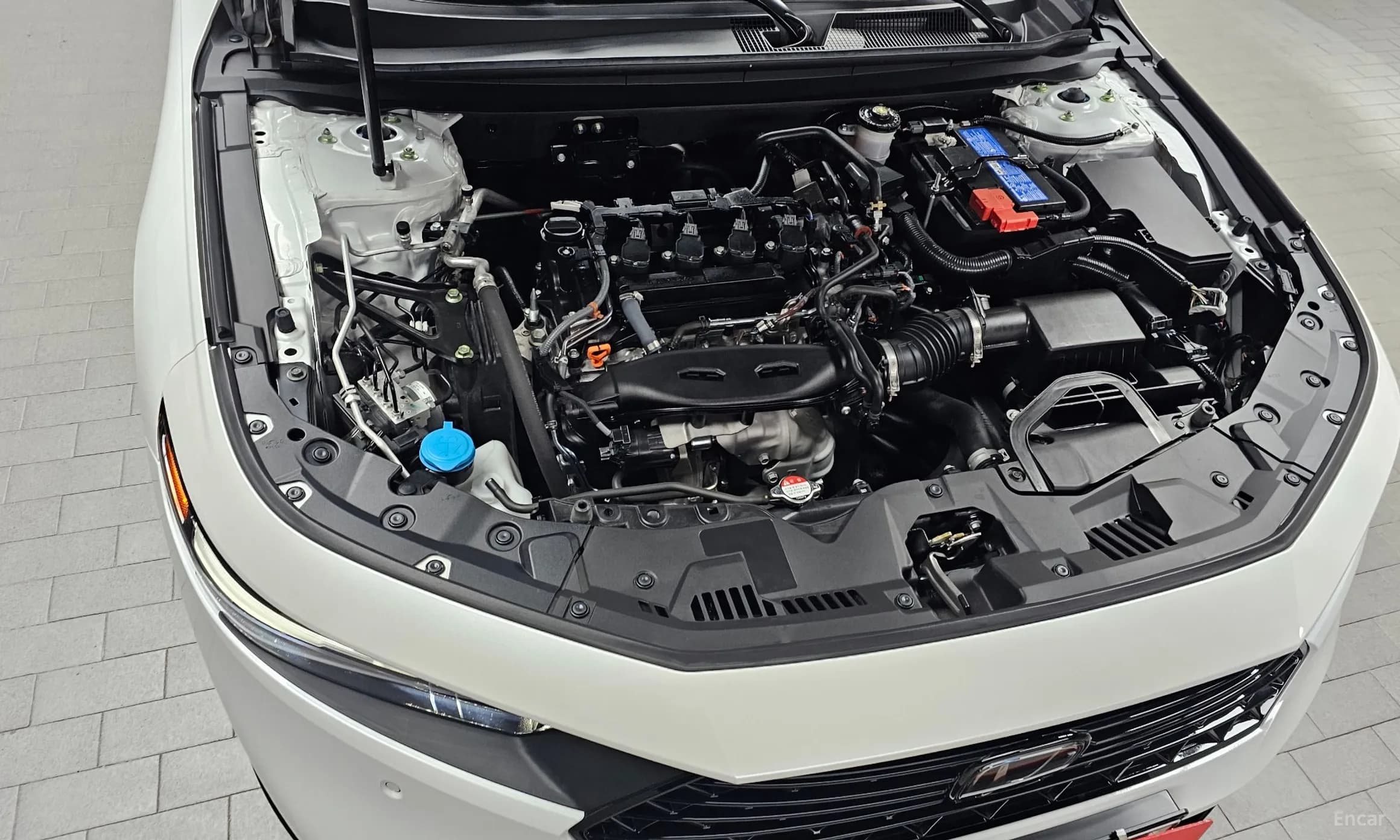 Accord 11th Generation