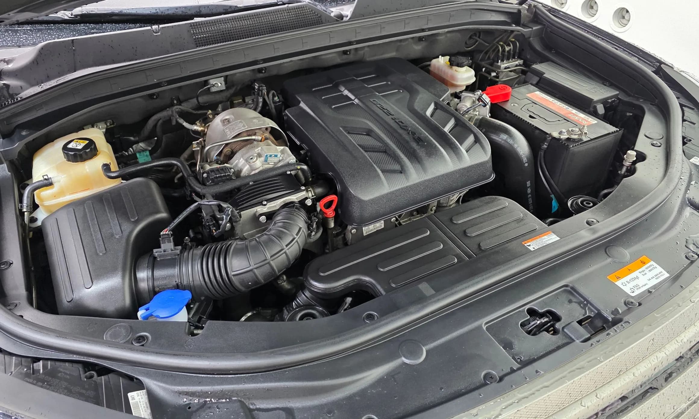 Rexton Sports