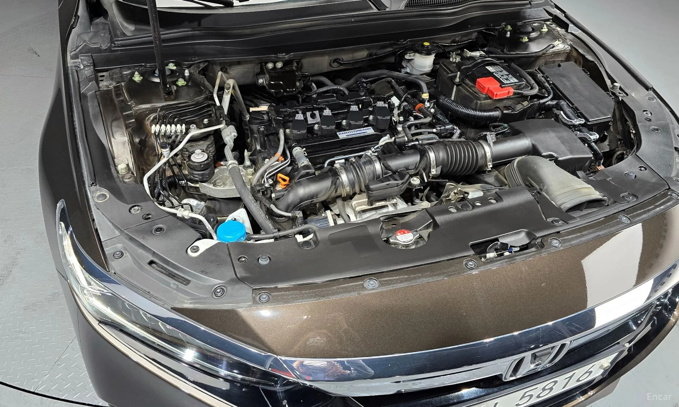 Accord 10th Generation