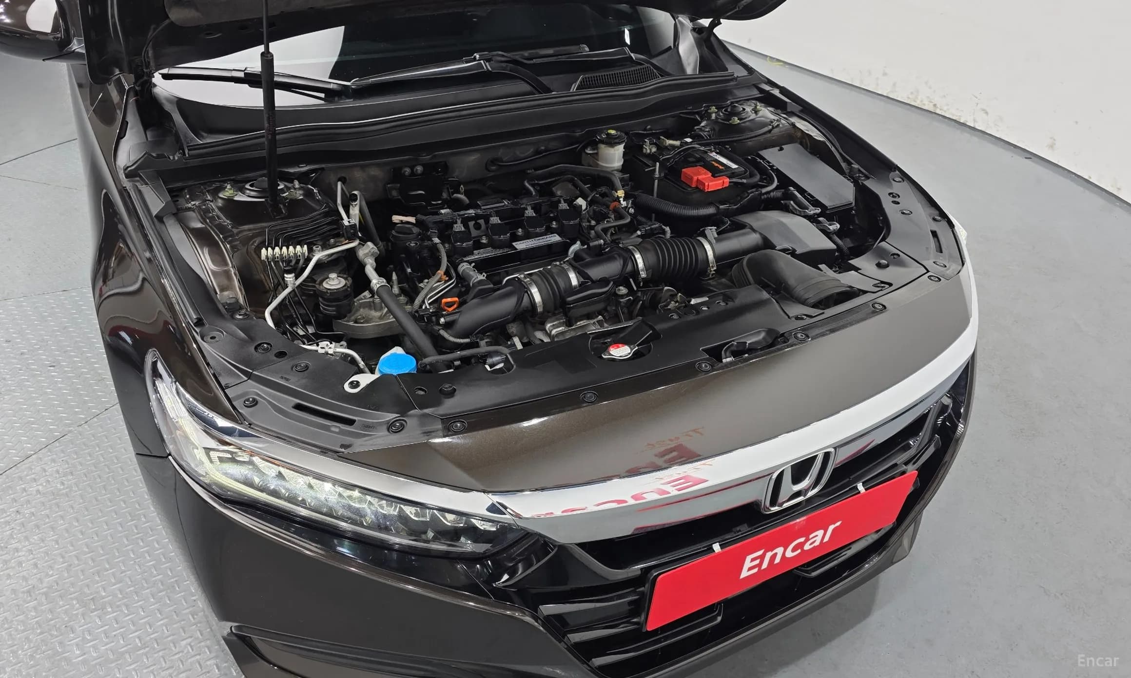 Accord 10th Generation