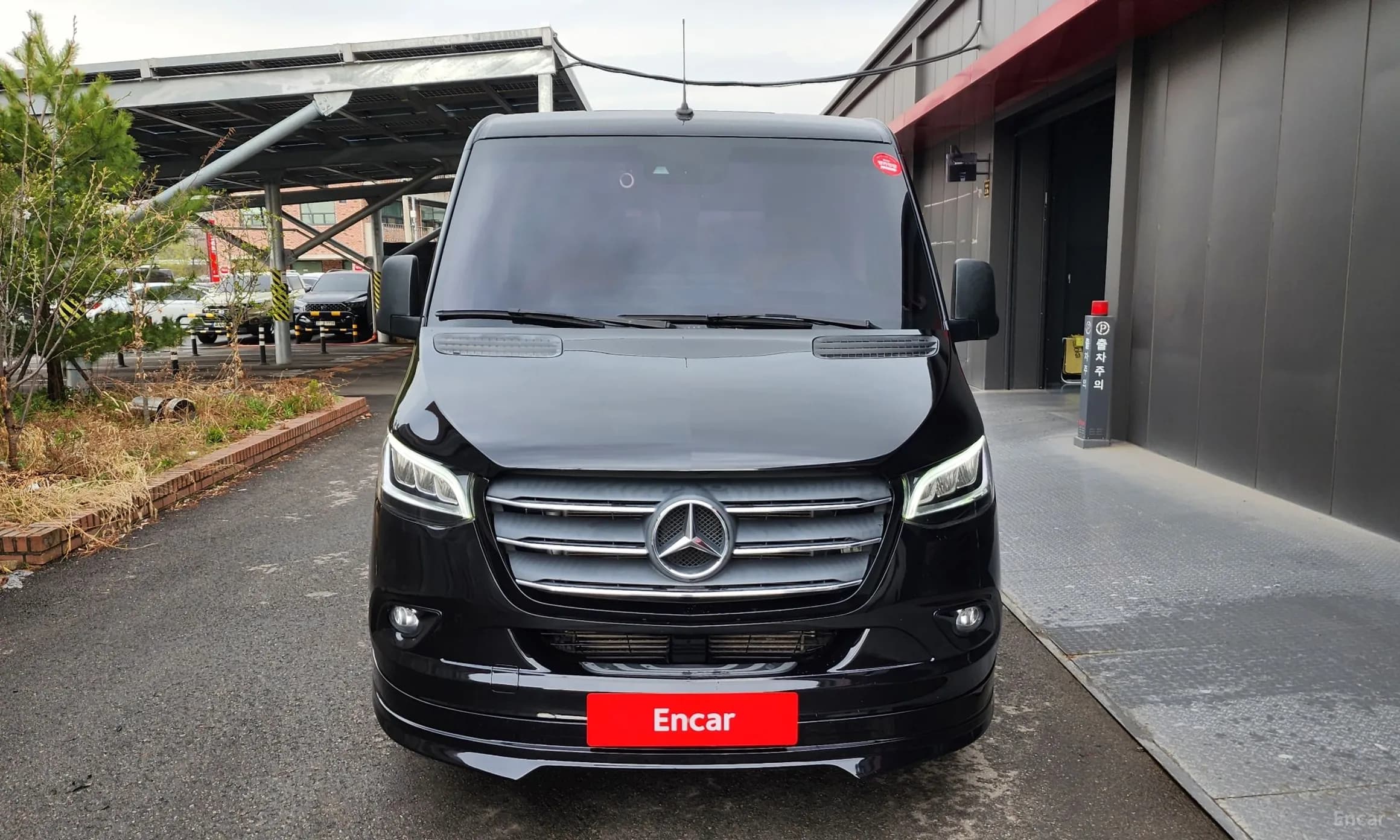 Sprinter