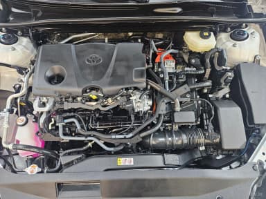 Camry (XV80)