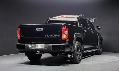 tundra