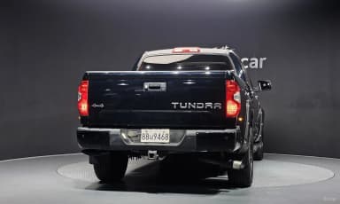 tundra