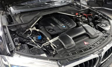 X6 (F16)