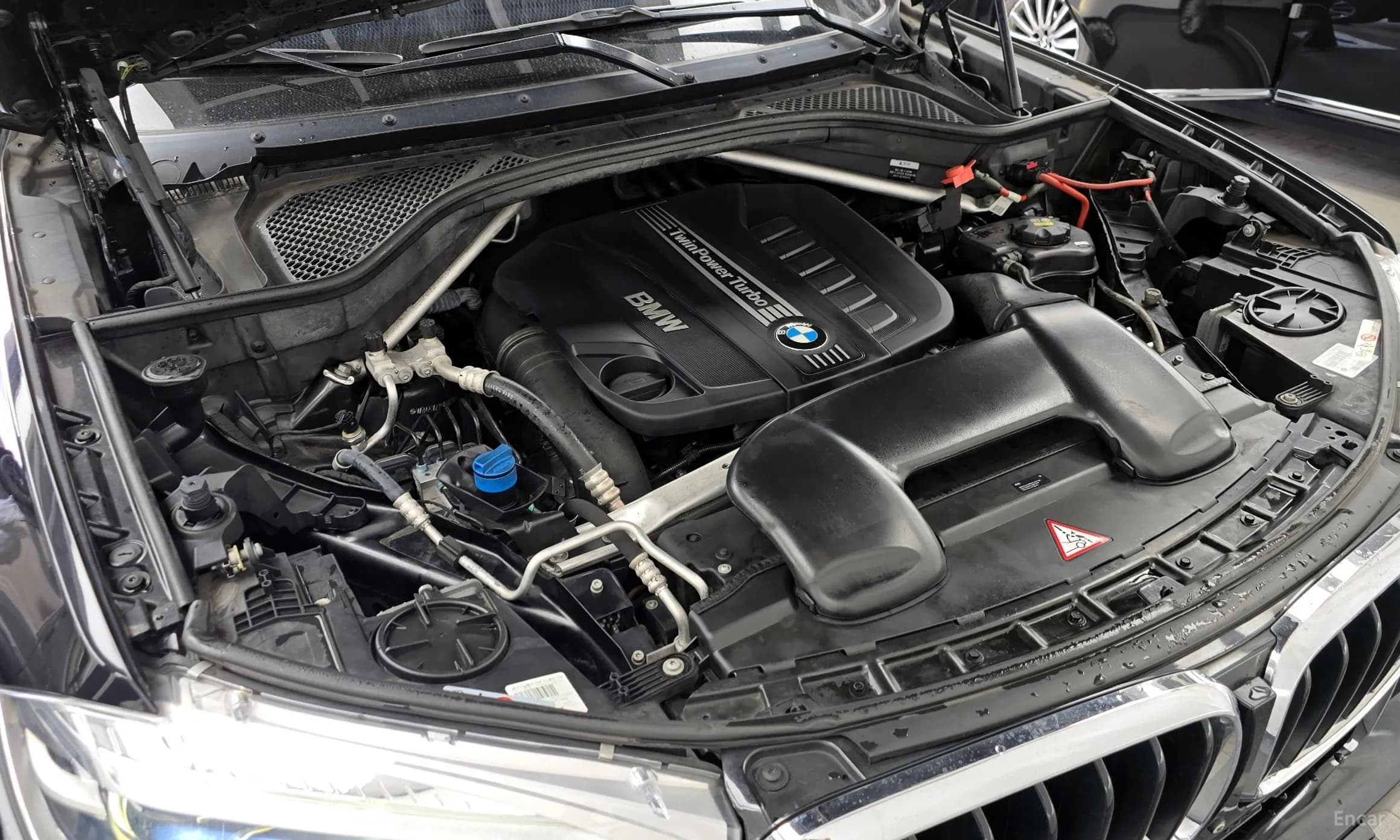 X6 (F16)