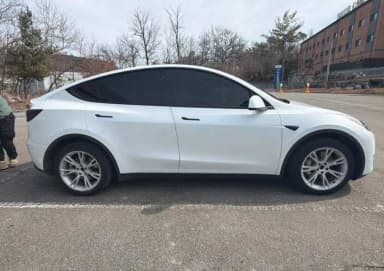 Model Y