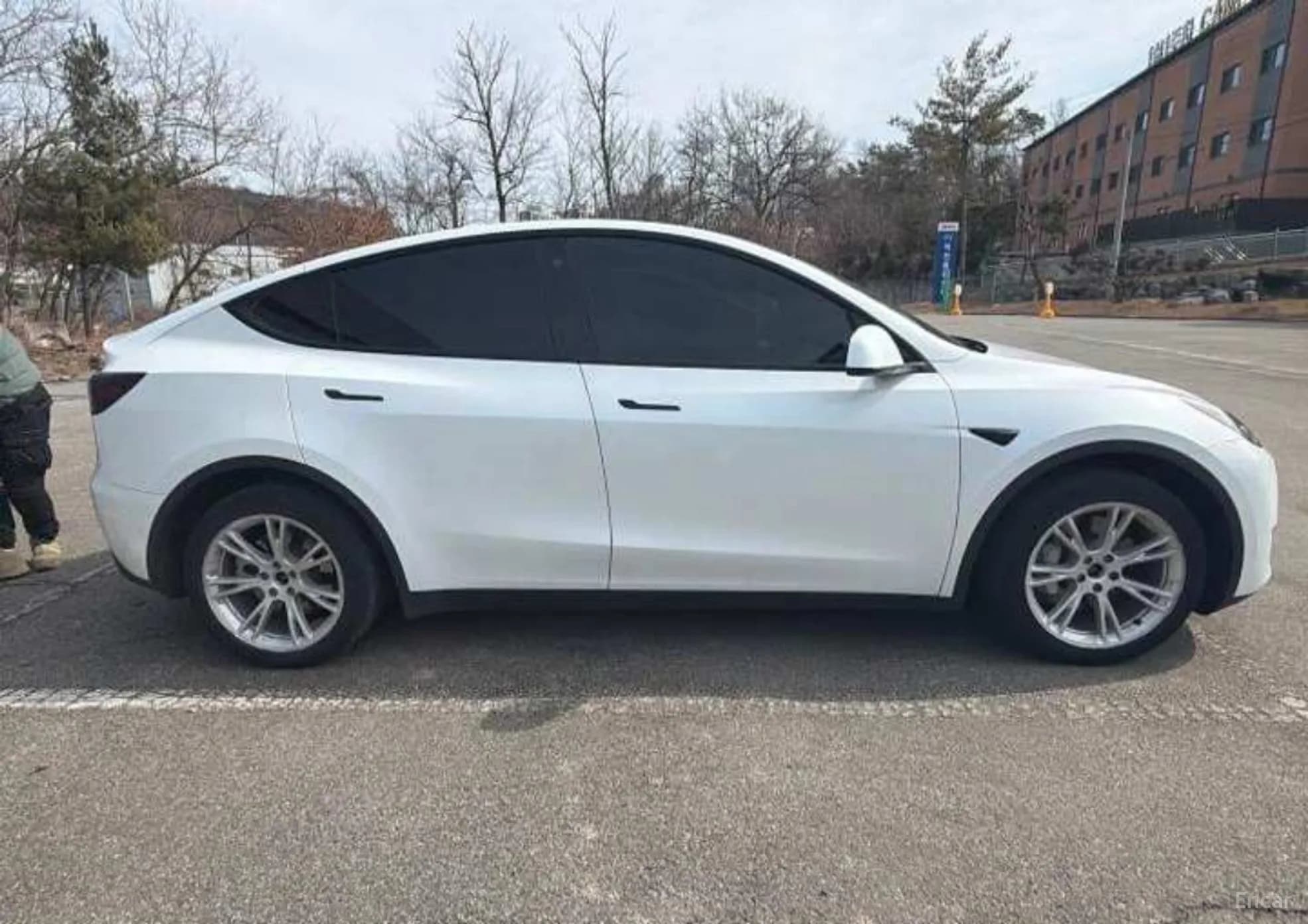 Model Y