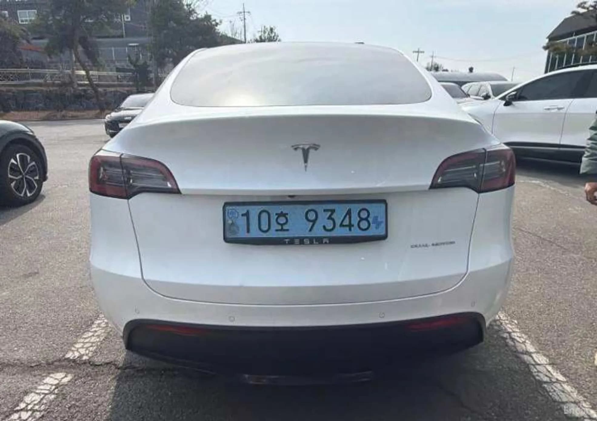 Model Y