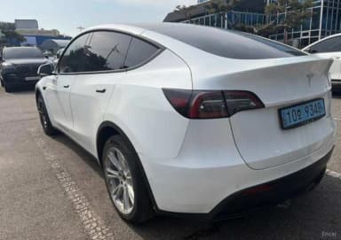 Model Y