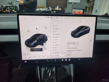 Model Y