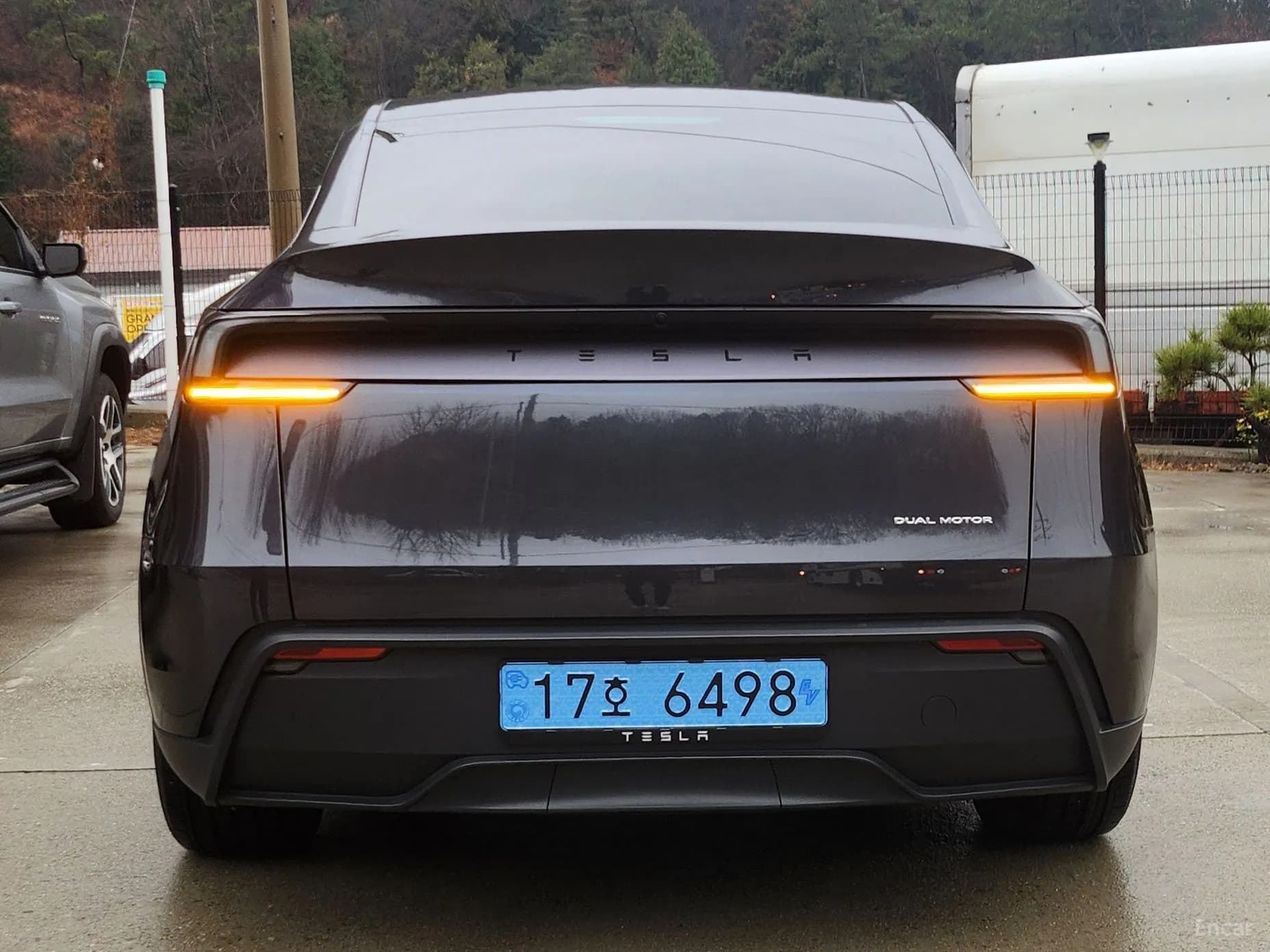 Model Y