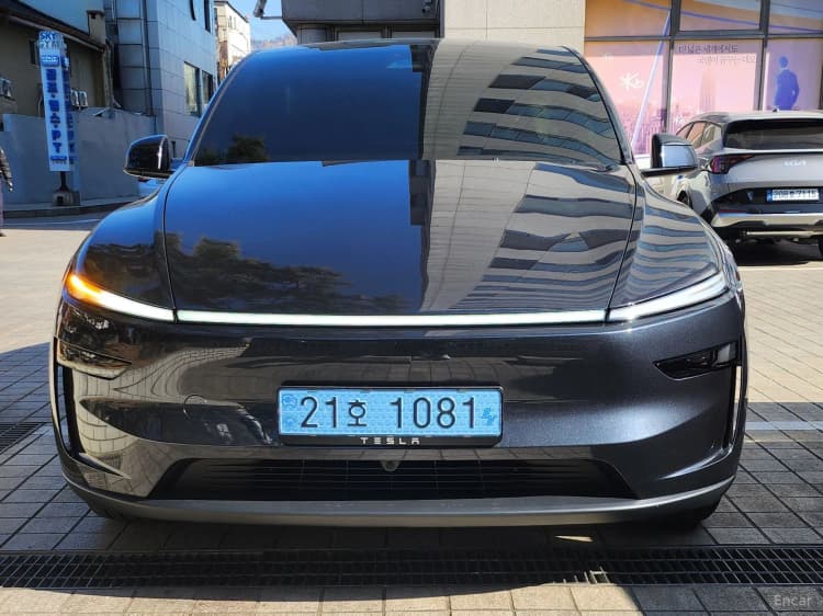 Model Y