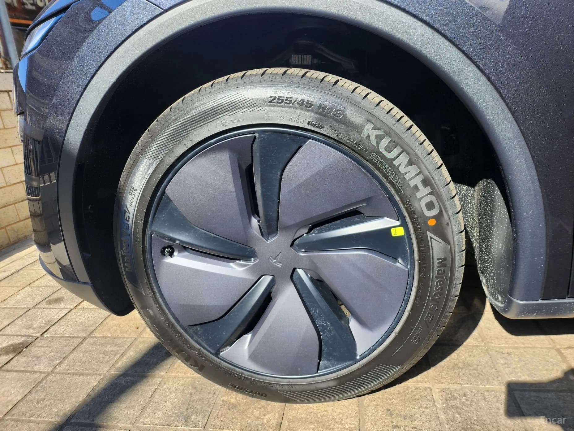 Model Y