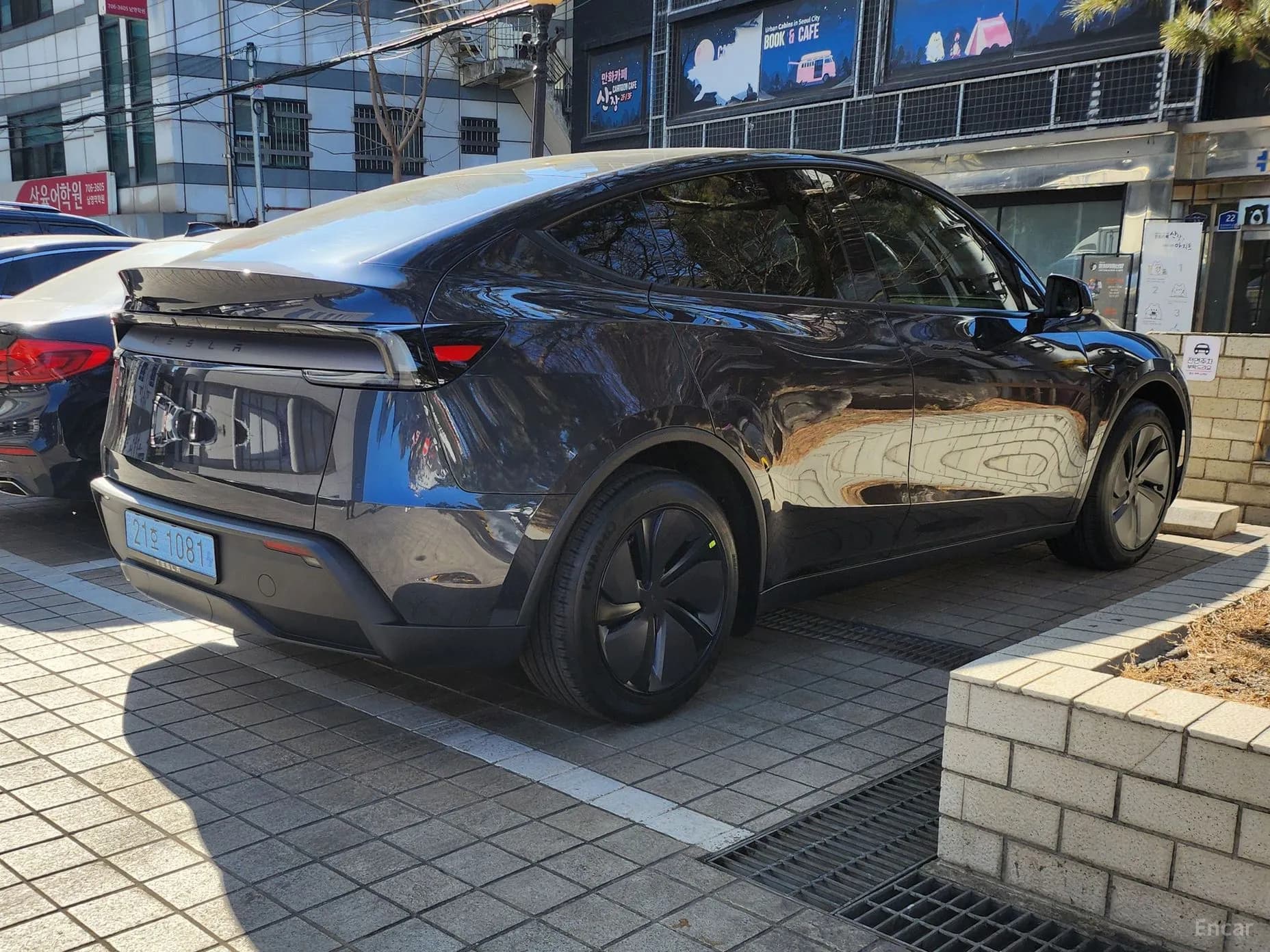 Model Y